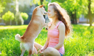 人与动物的感人故事 人与动物的感人故事500字