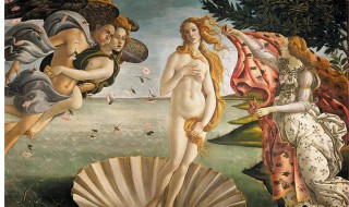 维纳斯的身高（断臂维纳斯的身高）