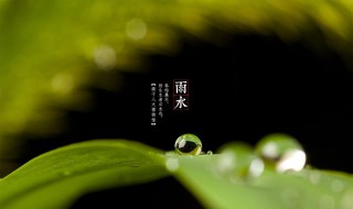 雨水节气的诗词 雨水节气的诗词鉴赏