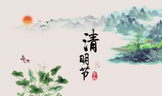 清明节作文500字作文(清明节作文500字作文扫墓)