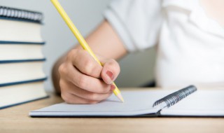 美文摘抄500字（美文摘抄500字初中生）