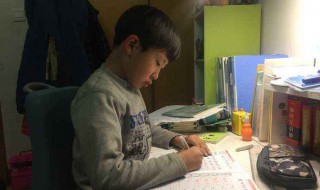 我的母亲作文500字（我的母亲作文500字优秀作文）