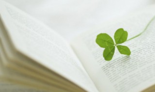 爱祖国的名言 爱祖国的名言名句有哪些