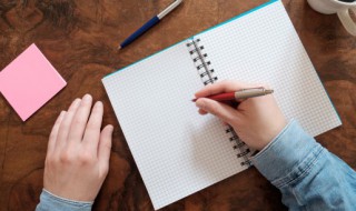 借物抒情的作文 借物抒情的作文600字初一