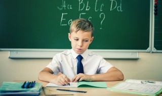 可爱的小狗作文（可爱的小狗作文100字）