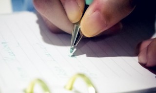 我与书的故事作文 我与书的故事作文600字