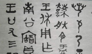 关于金文的历史资料简短（关于金文的历史资料简短版）