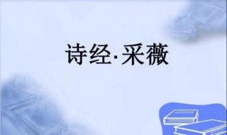 关于采薇的相关资料 关于采薇的相关资料