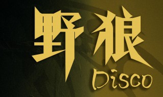 野狼disco是哪一期（老舅第一次唱野狼disco是哪一期）