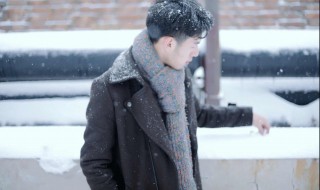 咏雪的名句（咏雪的名句有哪些）