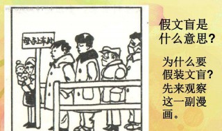 假文盲作文400字（假文盲作文400字启示）