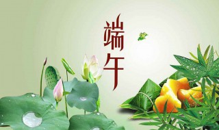 端午节文章 端午节文章400字作文