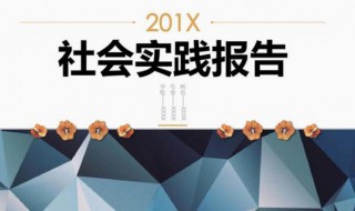 社会实践范文 高中生综合素质评价社会实践范文