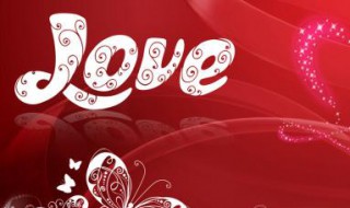 以爱为题的作文 以爱为题的作文500字