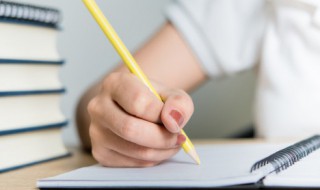 小乌龟历险记作文（小乌龟历险记作文600字）