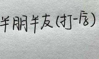 半朋半友打一字 半朋半友打一字字