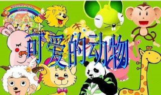 观察小动物的作文（观察小动物的作文400字）