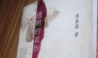 透明的哀伤简介（透明的哀伤书评）