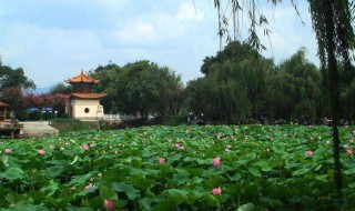 游记作文800字（游记作文800字初二作文爬山）