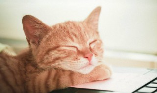 累得什么填词语 累得什么填词语二年级下