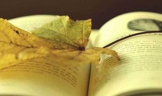 不怕困难的名言 形容不怕困难的名言