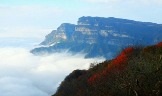 光雾山旅游攻略（四川巴中光雾山旅游攻略）