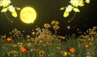 花前对什么（花前对什么词语）