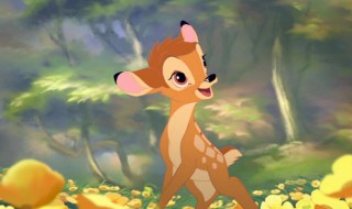 小鹿斑比读后感（小鹿斑比读后感100字）