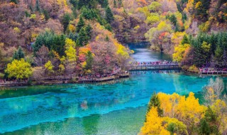 九寨沟导游词（九寨沟导游词讲解）