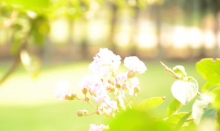 那段温暖的日子作文 那段温暖的日子作文500字初一