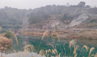 登高望远的意思（登高望远的意思是什么生肖）