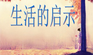 生活的启示作文（生活的启示作文300字）