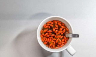 女人长期喝枸杞水好吗 女人长期喝枸杞水好吗,来月经可不可以喝枸杞水