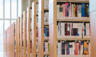 赵匡胤的死因是什么(赵匡胤死因之谜)