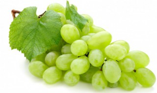 家庭自酿白葡萄酒方法