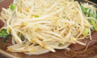 葱花豆芽做法窍门 葱花豆芽做法窍门是什么