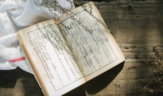 李峤怎么读（风唐李峤怎么读）