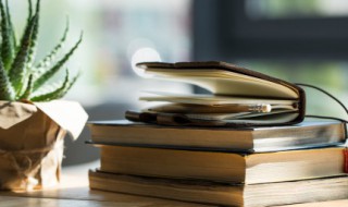 卜字怎么读 言字加卜字怎么读