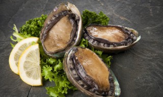 美味鲍鱼家常做法（最好吃的鲍鱼做法视频）