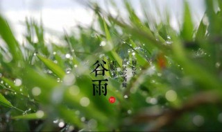 谷雨的拼音怎么写（谷雨的拼音怎么写的拼音）
