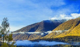 三区指的是哪些区 三区指的是哪里