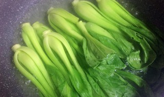 蚝油油菜香菇如何做