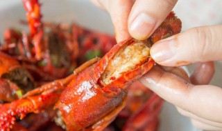 怎么吃剥小龙虾（怎么吃剥小龙虾视频教程）