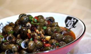 田螺能不能经常吃（田螺能不能经常吃呀）