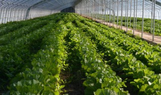 合作社变更注册资金需要什么条件（合作社变更经营范围需要哪些资料）