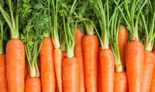 胡萝卜鸡蛋饼的做法和配方