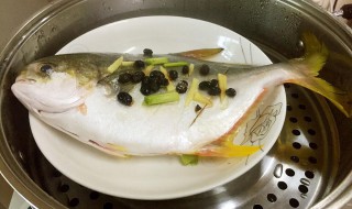 蒸鱼一般蒸几分钟最好（蒸鱼一般蒸几分钟最好宝宝吃）