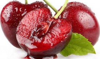 车厘子最大是几j 车厘子最大是几句