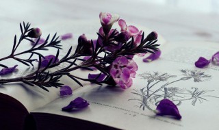 醒觉是什么意思 醒觉的是什么意思