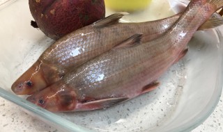 鱼跟地瓜可以一起吃吗(鱼跟地瓜可以一起吃吗会中毒吗)